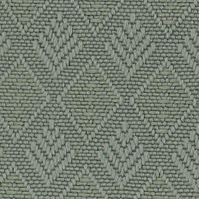 Fern